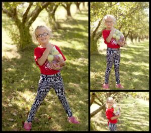 Okaw Valley Apple Orchard Sullivan Illinois