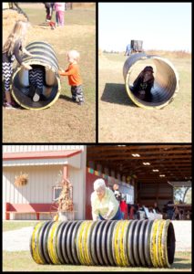 Wagon Wheel Pumpkin Patch Clinton IL