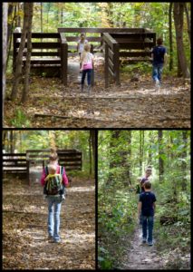 fall family fun woods hike