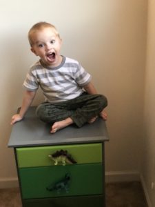 dinosaur dresser