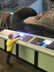 st louis science center
